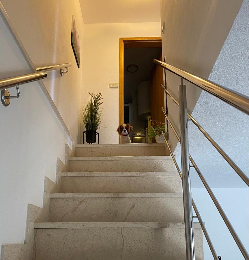 Mediterano Apartment - City Center Сплит Екстериор снимка